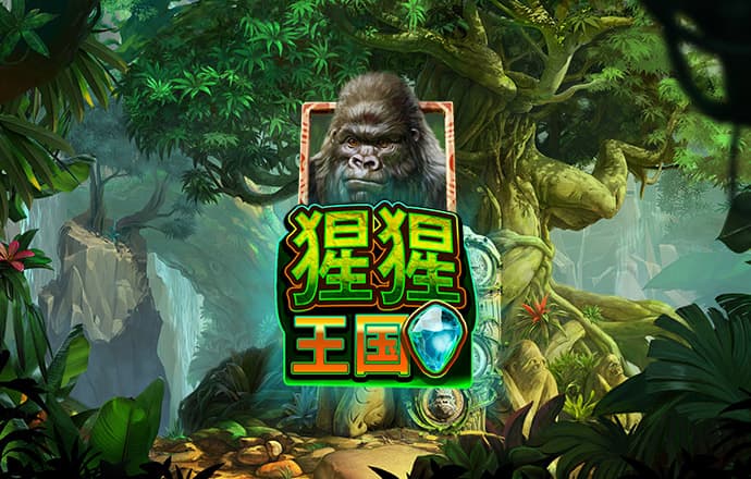 开云·全站app(kaiyun)